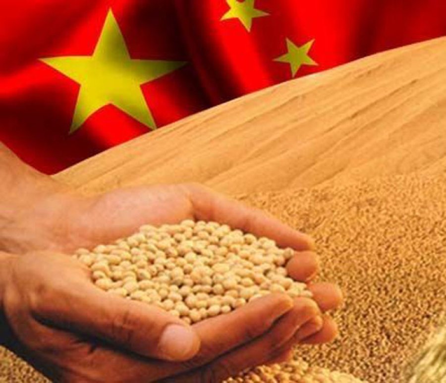 FOTO ARCHIVO SOJA. Es uno de los productos que China le compra a Argentina.