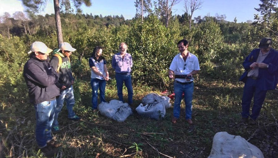 FOTO INTERNET TRABAJADORES RURALES. En Misiones podrán solicitar prestación por desempleo.