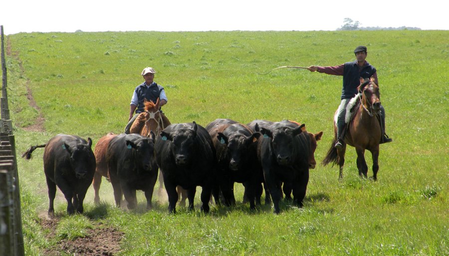 FOTO INTERNET TRABAJADORES RURALES. La UATRE anunció aumentos de salario.