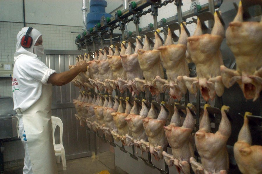 FOTO ARCHIVO CARNE DE POLLO. Aumentó un 20 por ciento tras la devaluación. FOTO ARCHIVO ROBERTO DOMENECH. Habló sobre  aumento del pollo.
