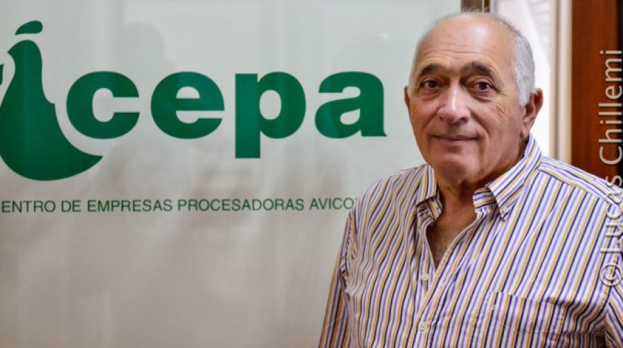 FOTO ARCHIVO CARNE DE POLLO. Aumentó un 20 por ciento tras la devaluación. FOTO ARCHIVO ROBERTO DOMENECH. Habló sobre  aumento del pollo.