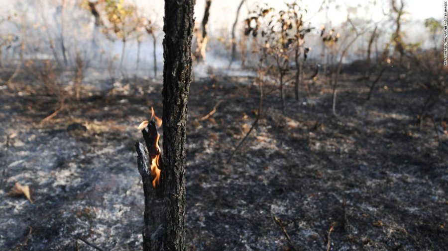 FOTO AFP DEVASTADORES. Los incendios son incontrolables.