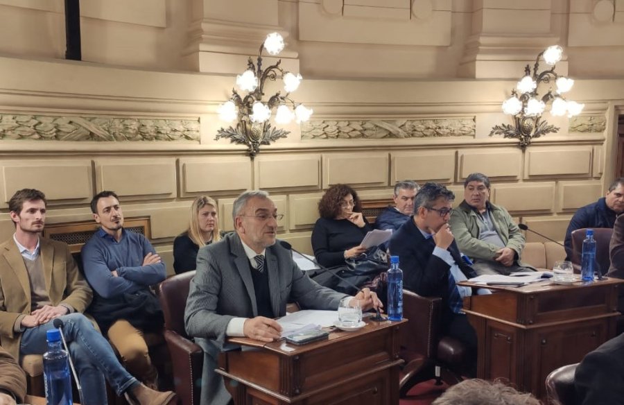 FOTO PRENSA AC// EN EL SENADO./ Alcides Calvo en su banca.