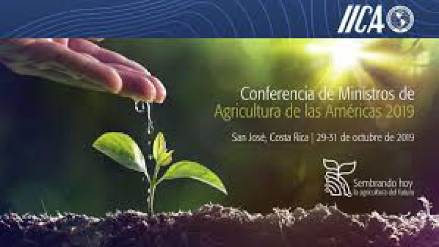 IMAGEN INTERNET LO OBSERVADO.  Uno de los elementos en que se brindó información. IMAGEN INTERNET