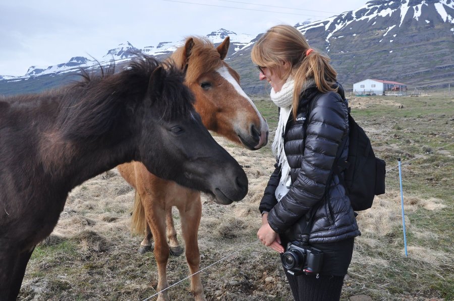 archivo Aniko Villalba