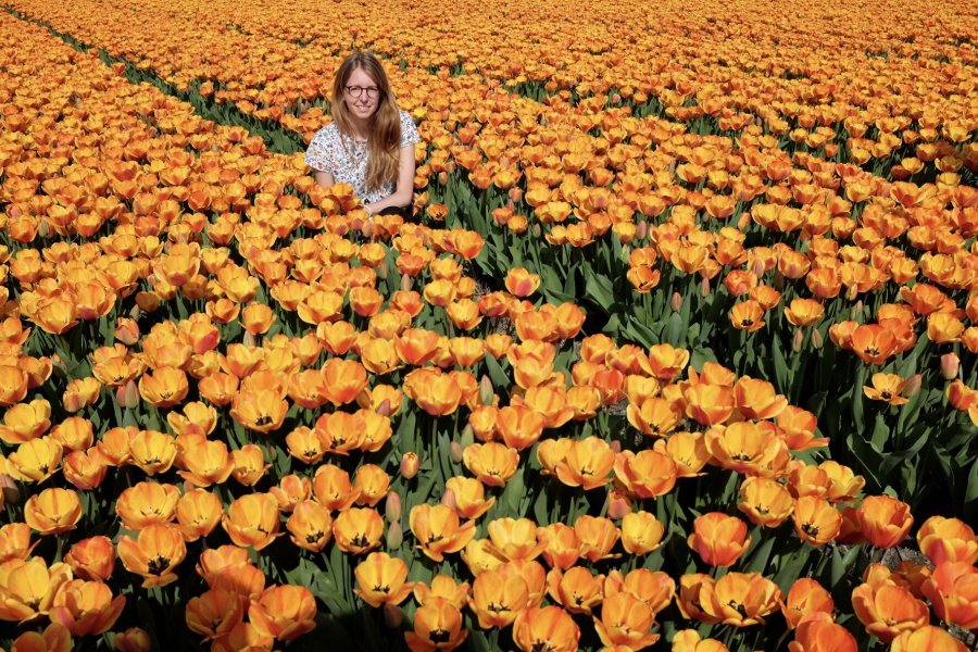 archivo Aniko Villalba