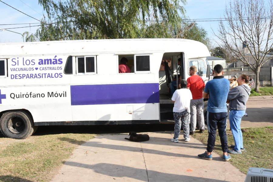 FOTO CP// CASTRACION.// Se cumpli&oacute; en barrio Barranquitas.