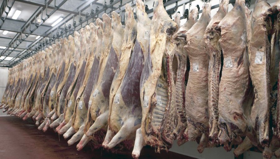 FOTO INTERNET CARNE VACUNA. Las exportaciones lograron un récord histórico. FOTO INTERNET DISERTACION. Momento de la palabra de José Lizzi.