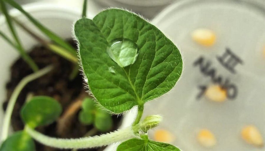 FOTO INTERNET NANOTECNOLOGIA. Su uso crece como una herramienta estratégica.  FOTO INTERNET BADANO Y LAURENZA. Y el desarrollo de una nueva tecnología.