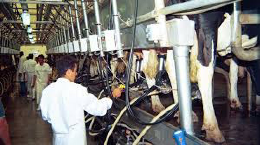 FOTO ARCHIVO LECHE. La experiencia de quienes apostaron al asociativismo. FOTO INTERNET UNA EXPERIENCIA. La contaron Gabriel Terreno y Oracio C. Saluzzo.