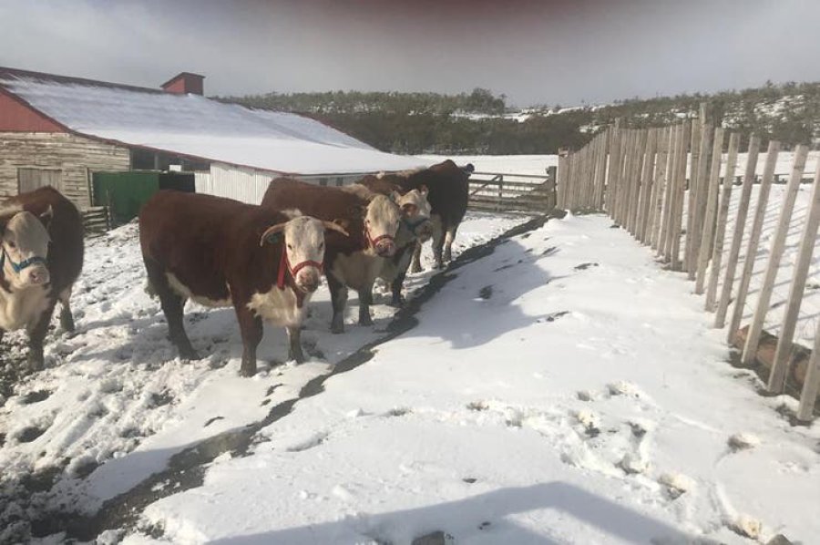 FOTO INTERNET LA HACIENDA. Así se la observa durante el invierno, con nieve y hielo.  FOTO INTERNET DUEÑO Y PRESIDENTE. Jorge Sevillano y Alejandro de La Tour.