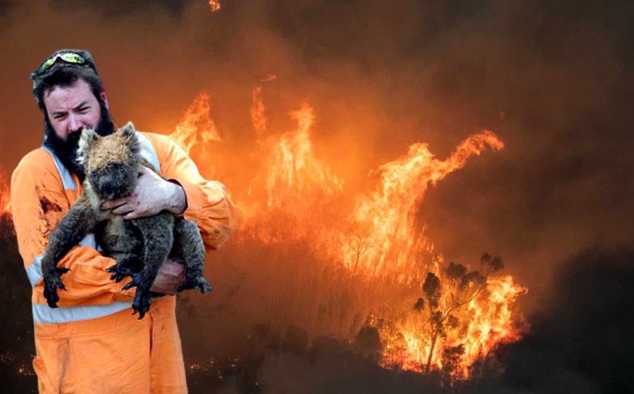 FOTO AFP INCENDIOS. Actualmente están causando pérdidas incalculables en Australia.