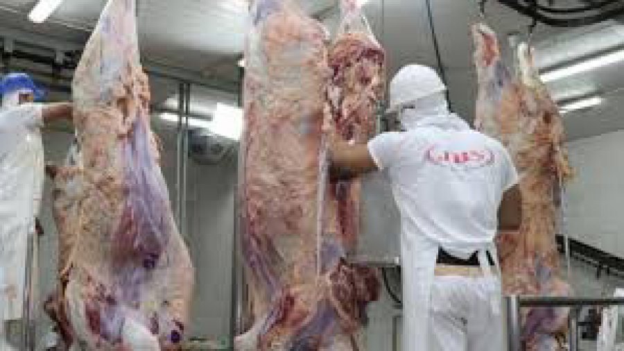 FOTO ARCHIVO FAENA DE HACIENDA. superó los 13 millones de cabezas el pasado año.  FOTO ARCHIVO EN PLENA LABOR. Muestra de pericia profesional.