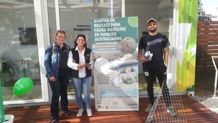 FOTO INTERNET CIENTIFICOS DEL CONICET. Junto a pares del Centro para el Estudio y Conservación de las Aves Rapaces, capacitaron a más de 400 productores. FOTO ARCHIVO AGUILA DEL CHACO. Una especie en grave riesgo.