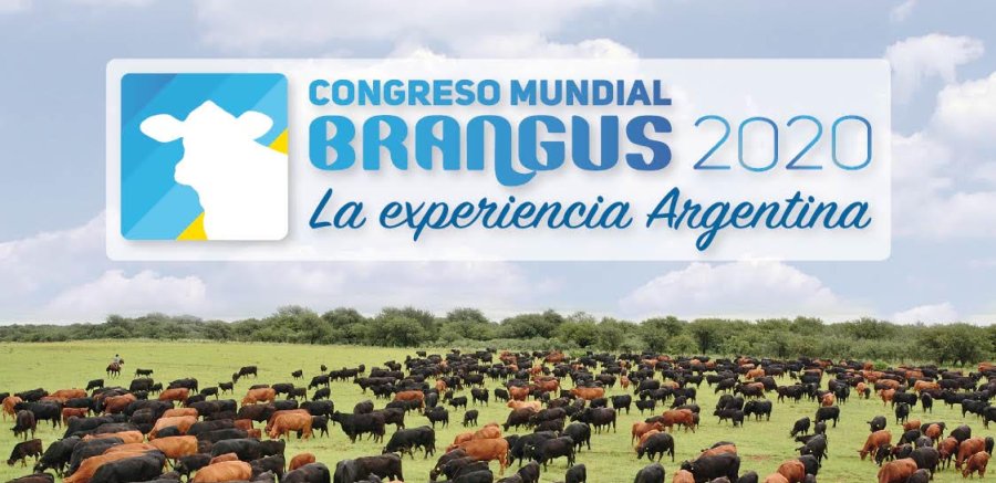 FOTO ARCHIVO RAZA BRANGUS. En abril los criadores realizarán un Congreso Mundial en nuestro país.  IMAGEN INTERNET CONGRESO. Presentación de lo que se hará en abril próximo.