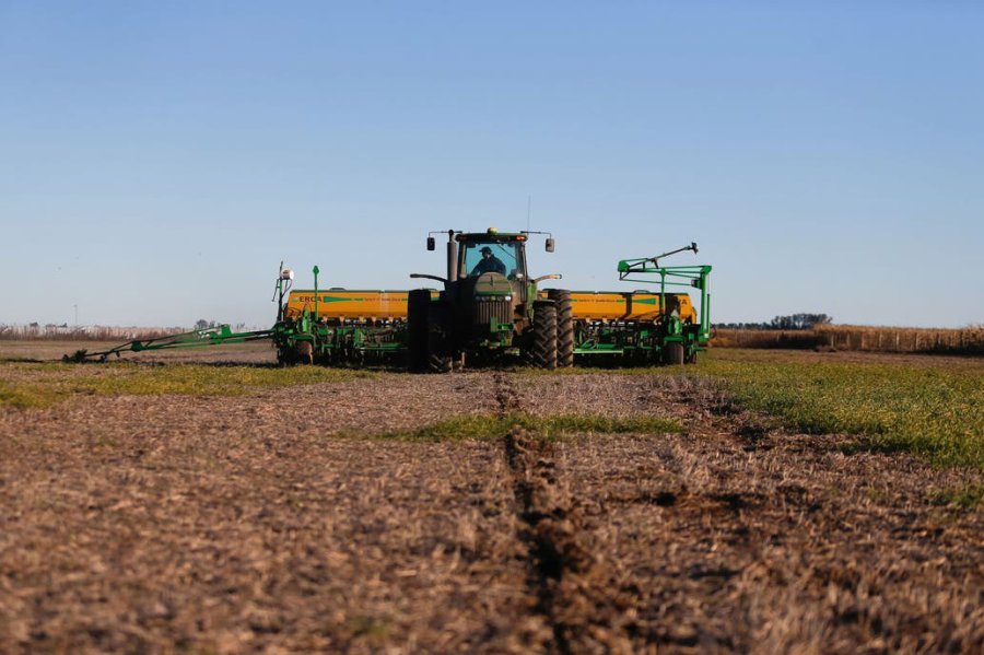 FOTO INTERNET MANEJO AGRONOMICO. Lo que se debe tener en cuenta.  FOTO ARCHIVO MARTIN DIAZ ZORITA. Ingeniero agrónomo graduado de la Universidad Nacional de La Pampa.
