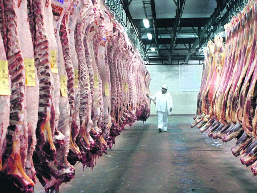 FOTO ARCHIVO EXPORTACION. El coronavirus afecta las ventas de carne vacuna a China.  FOTO ARCHIVO IGNACIO IRIARTE. Hizo referencia a una crisis.
