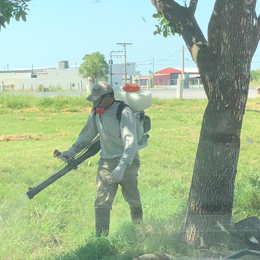 FOTO PRENSA MUNICIPALIDAD// FUMIGACIONES./ Con especial ah&iacute;nco desde el Municipio se prosiguen las tareas preventivas.
