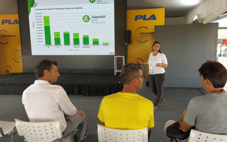 FOTO INTERNET DETALLES. Momento en que fueron brindados.