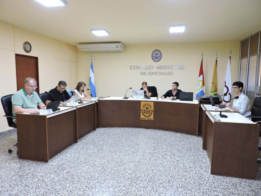 FOTO PRENSA CONCEJO// SESION EXTRAORDINARIA./ Imagen capturada ayer por la ma&ntilde;ana durante las deliberaciones de los ediles.