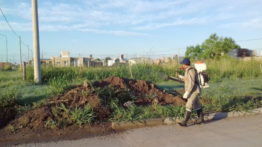 FOTO PRENSA MUNICIPALIDAD// FUMIGACION./ Se prosigue con la tarea en todo el &aacute;mbito ciudadano.