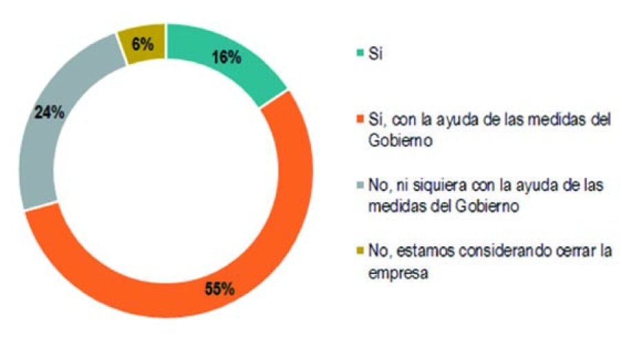 GRAFICO OBSERVATORIO PYME