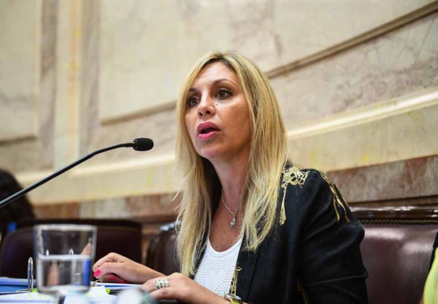 FOTO ARCHIVO SACNUN. Diputada nacional del Frente de Todos por Santa Fe.