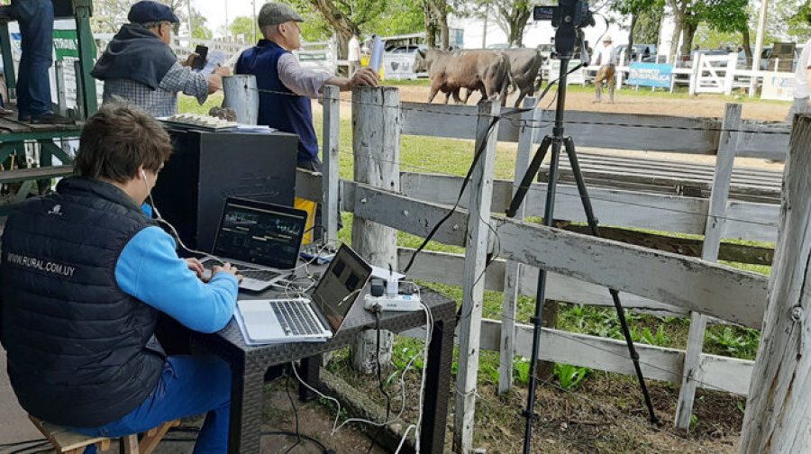 IMAGEN INTERNET REMATE VIRTUAL. ¿Se viene un cambio en la forma de vender hacienda?