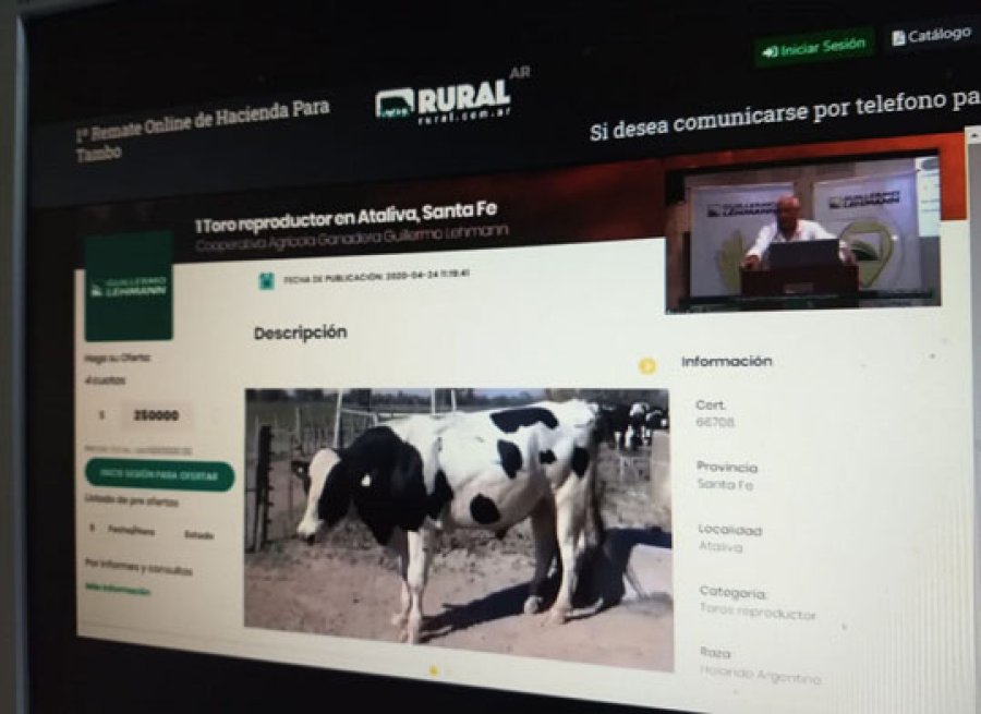 IMAGEN INTERNET EXCELENTE EXPERIENCIA. La realizada por la Cooperativa Guillermo Lehmann. IMAGEN INTERNET REMATE. Primera experiencia en venta online de piezas de tambo.