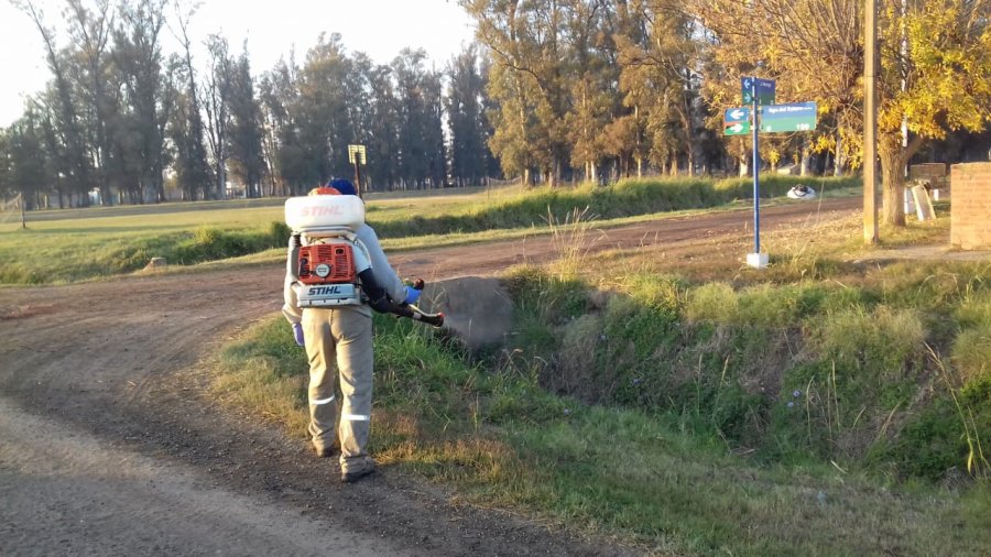 FUMIGACIONES// Personal municipal cumpliendo con la tarea preventiva.