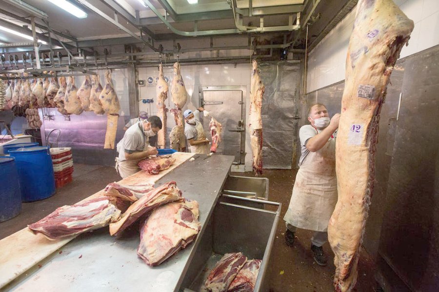 FOTO INTERNET FRIGORIFICOS. En el sector buscan evitar más contagios ante el incremento de los casos.