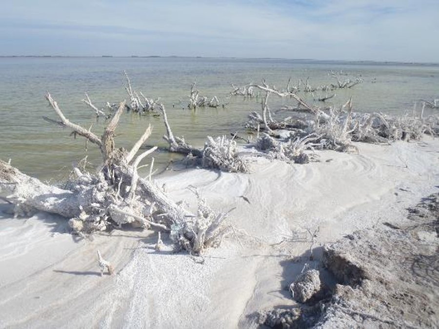 FOTO TRIPADVISOR// LAGO EPECUEN.// Otra vez sus costas aparecen con un manto blanco de sal.