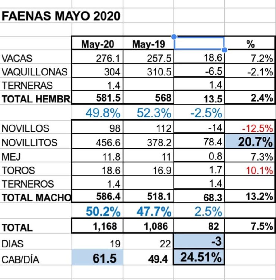 FOTO INTERNET PROTOCOLO. Se pone en vigencia en los faenamientos. IMAGEN INTERNET Faena mayo 2020 vs mayo 2019.