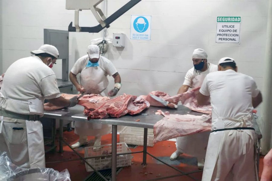 MAGEN INTERNET FRIGORIFICO. Gremio de la carne busca que se controle el funcionamiento.  FOTO ARCHIVO EN ACTIVIDAD. Se solicitan controles en plantas como esta.