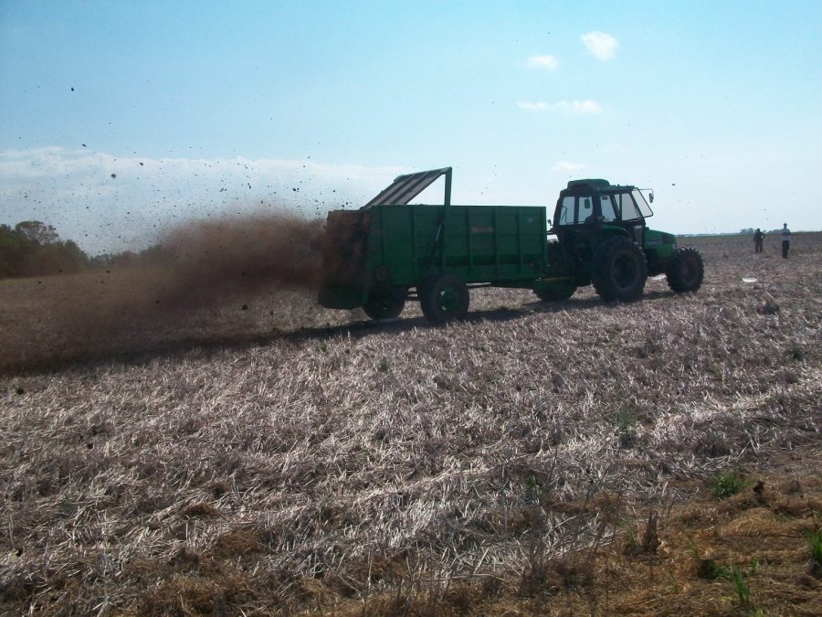 IMAGEN INTERNET EFLUENTES PORCINOS. Se evalúan como enmienda orgánica en maíz.
