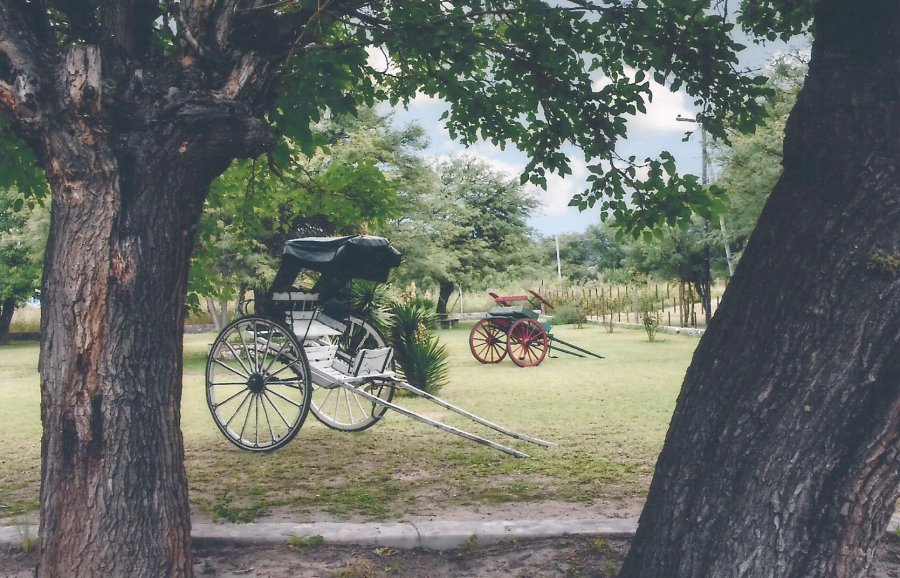 FOTO PRENSA ROTARY// TIEMPOS SIN PRISA./ La fotograf&iacute;a del sunchalense que mereci&oacute; la distinci&oacute;n.