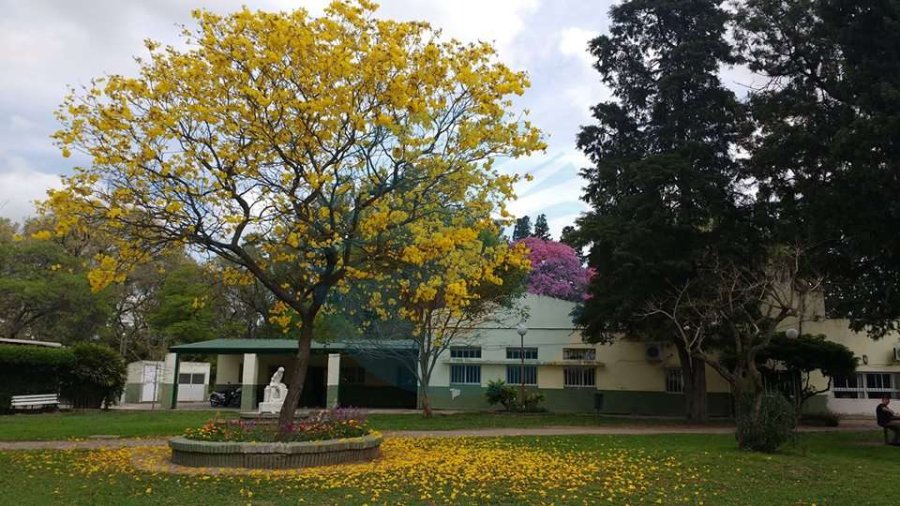 FOTO INTERNET ESCUELA GRANJA DE ESPERANZA. Se demuestra que todavía se puede.