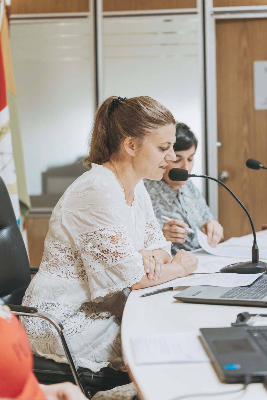 FOTO PRENSA CONCEJO// MAR&Iacute;A JOS&Eacute; FERRERO// La autora del proyecto ingresado al cuerpo legislativo.
