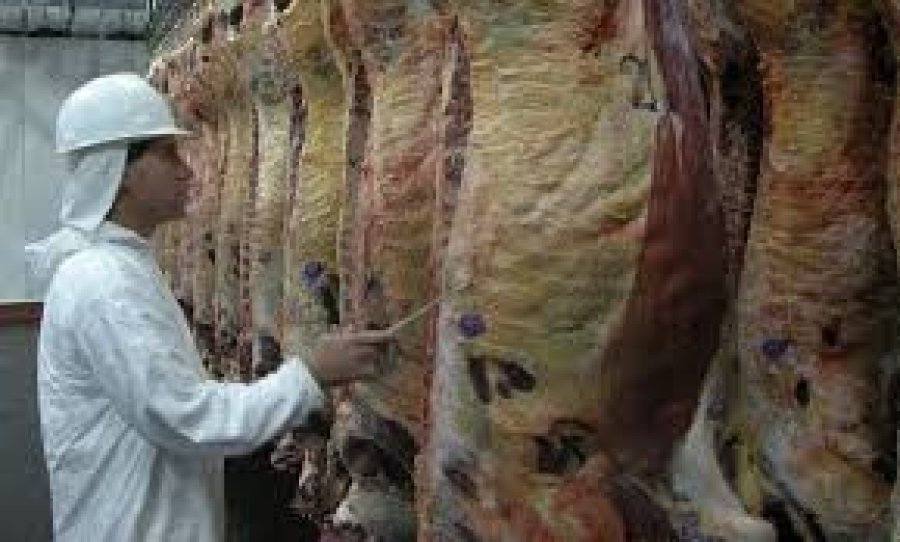 FOTO INTERNET FAENA VACUNA. Hay indicios de cambio en la tendencia del ciclo ganadero.   FOTO INTERNET VACUNOS. Hay un cambio en el ciclo de faena.