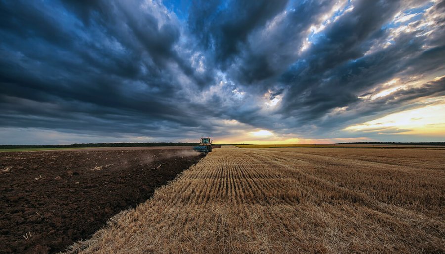 IMAGEN INTERNET PRODUCTORES RURALES. Se verán beneficiados si adoptan prácticas climáticamente inteligentes.  IMAGEN INTERNET ALEJANDRO GIRARDI. Director de Asuntos Corporativos y Sustentabilidad para Bayer C.S.