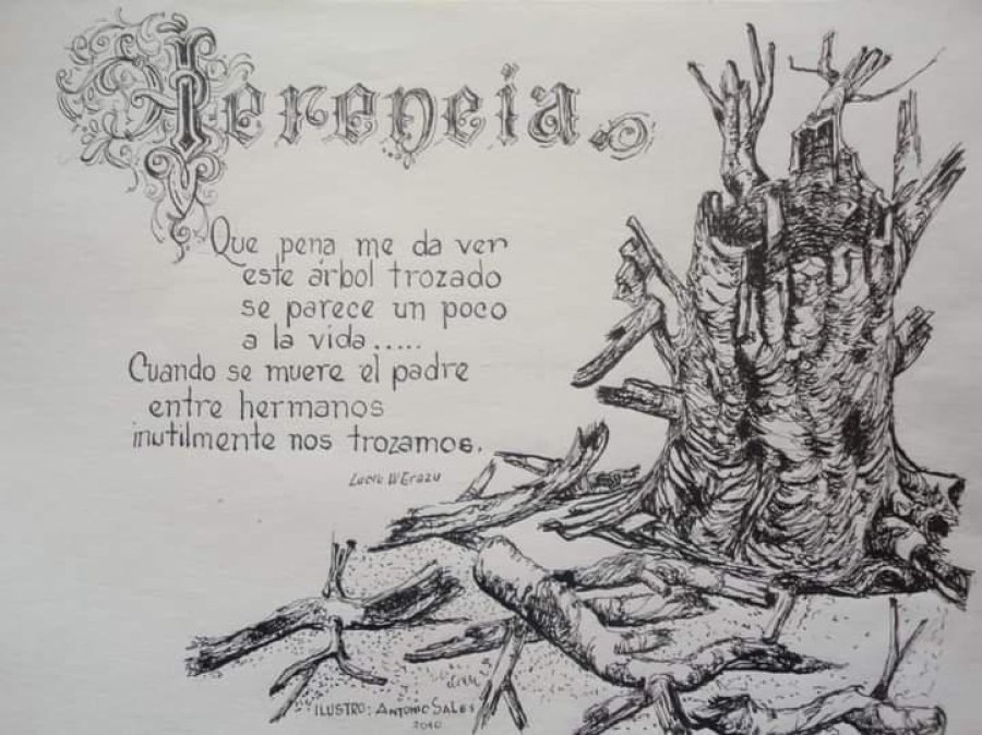 archivo Soledad Sales