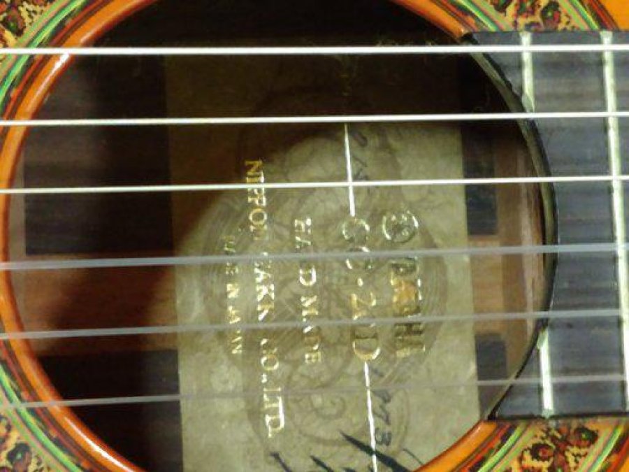 archivo Pablo Budini