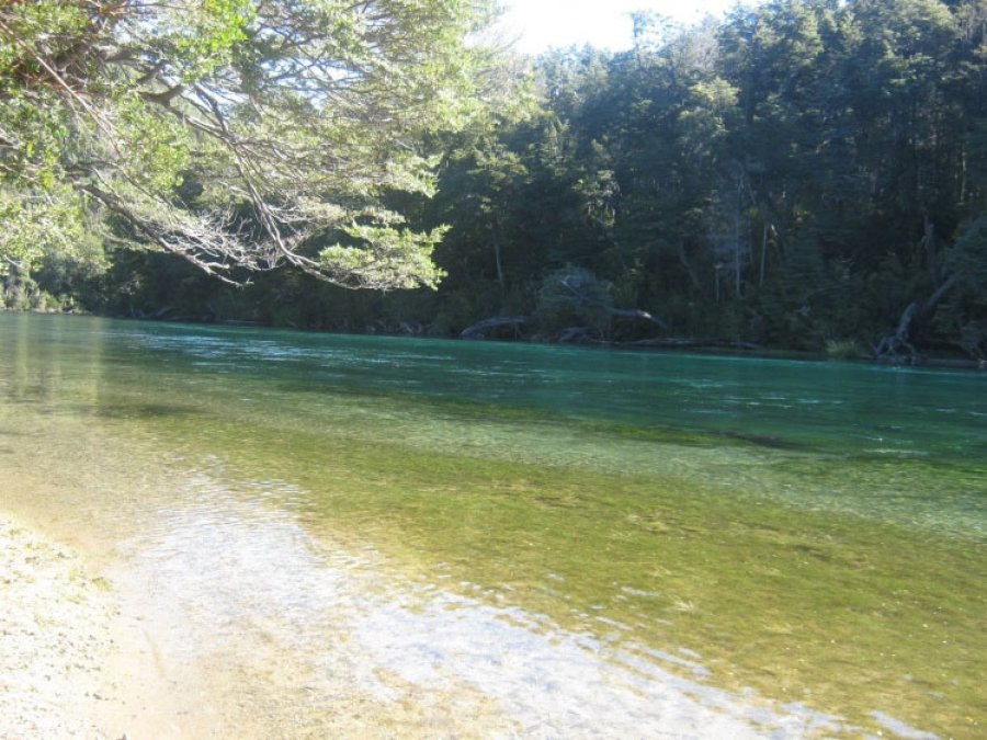 RIO ARRAYANES//Plet&oacute;rico de colorida biodiversidad.