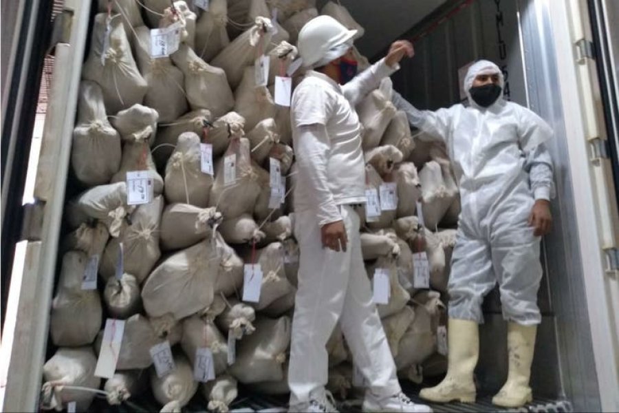 FOTO INTERNET CARNE DE CABRA. El frigorífico Los Pinitos enviará en total unas 51 toneladas a Sri Lanka..  FOTO INTERNET EXPORTACION. Carne de Cabra hacia Sri Lanka.