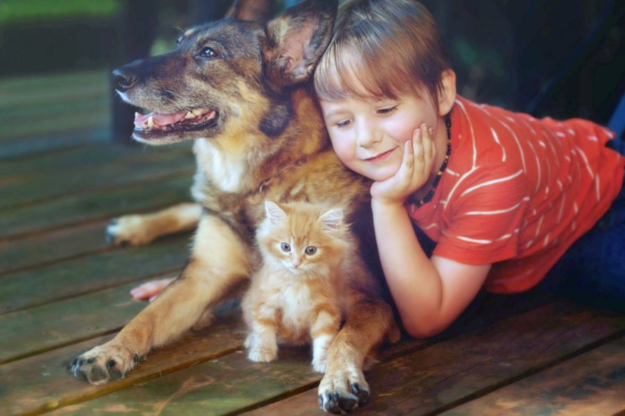 FOTO FMDOS// EQUILIBRIO POBLACIONAL// Se impulsa legislaci&oacute;n para perros y gatos.