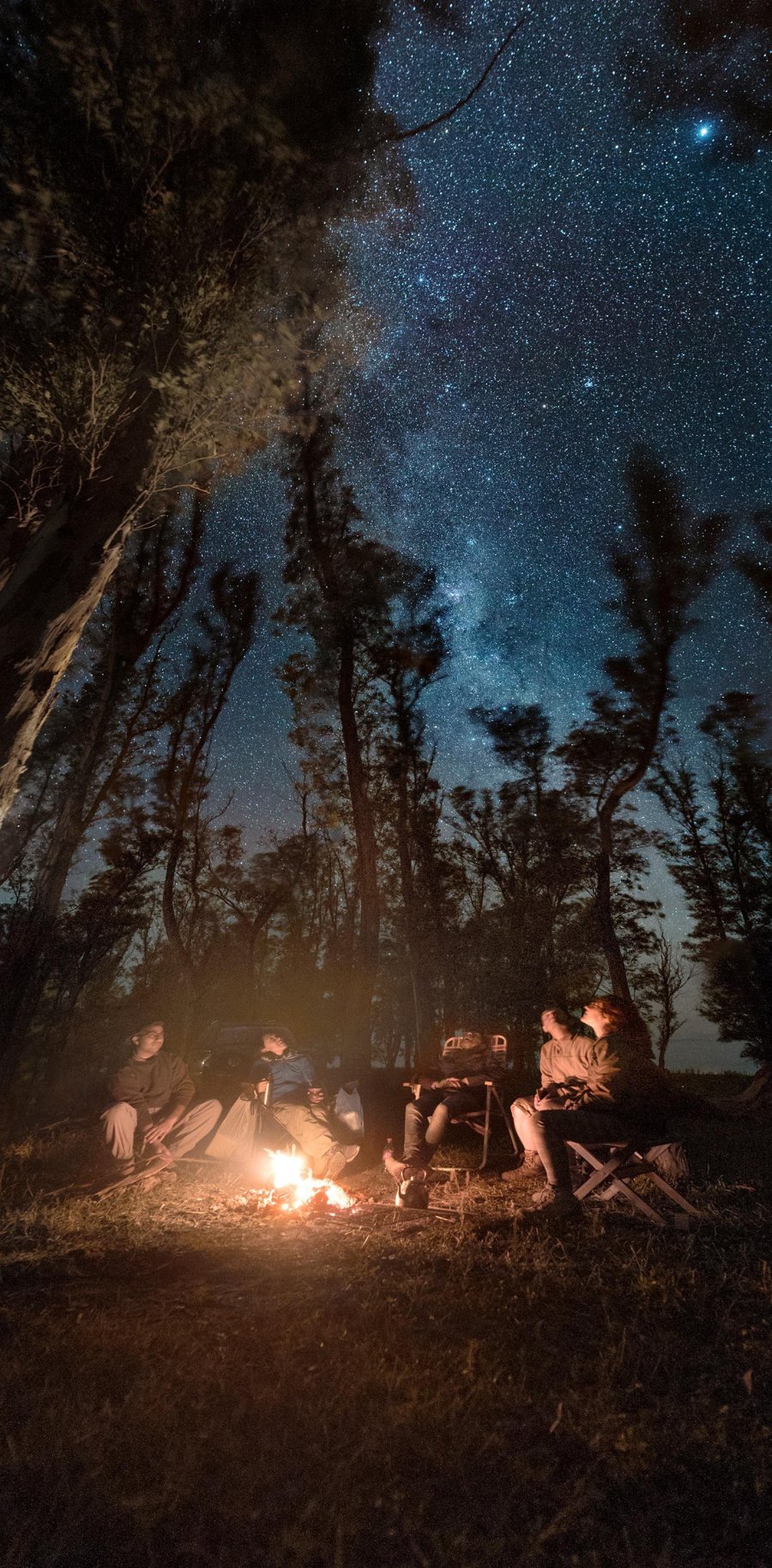 archivo Jorgelina Alvarez