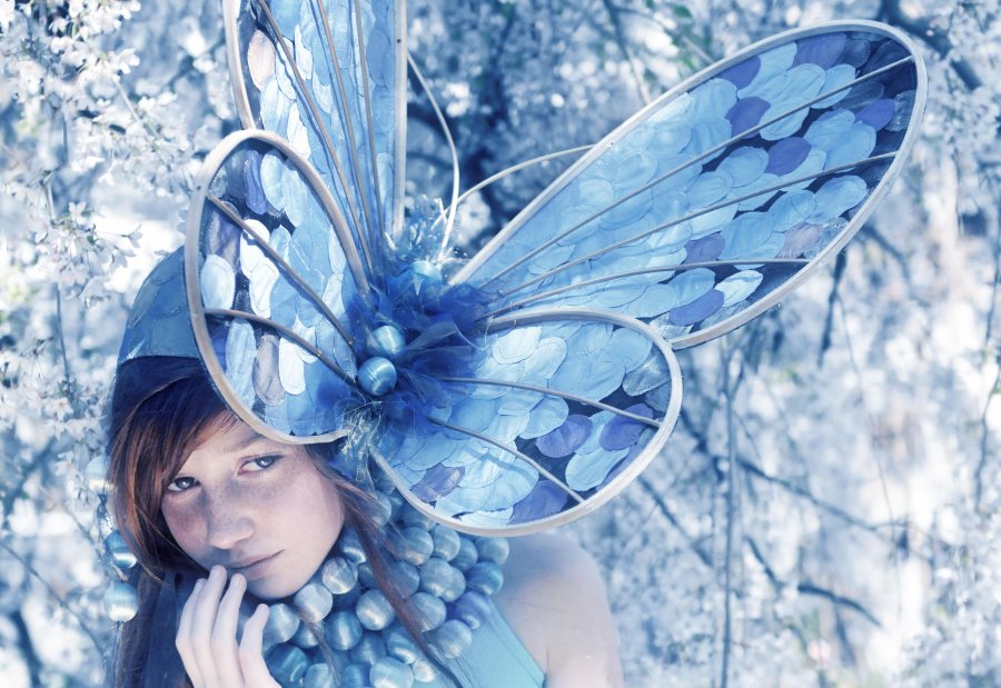 archivo Elena Werner