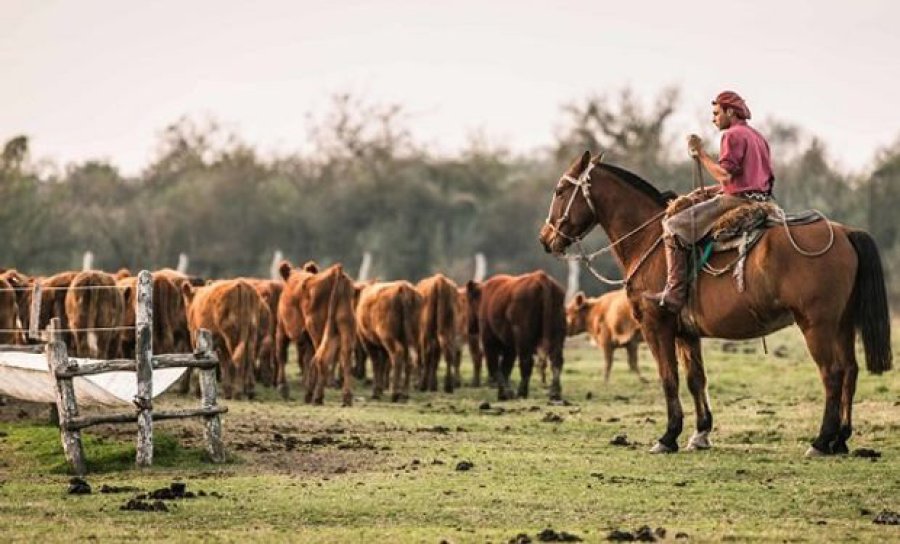 FOTO INTERNET TRABAJADORES RURALES. Quien los representa no está de acuerdo con lo logrado.  FOTO INTERNET JOSE VOYTENCO. Había reclamado 15.000 pesos.