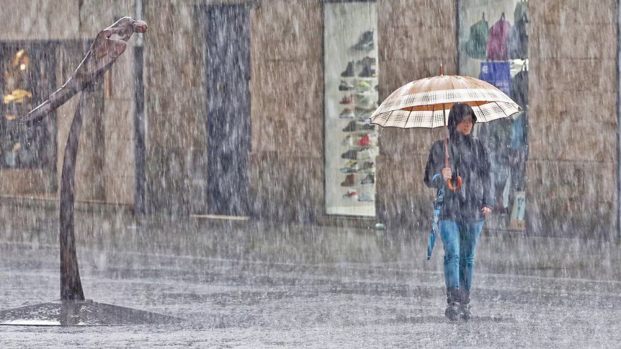 LLUVIAS.  En 2020 cayeron solamente 728 mil&iacute;metros