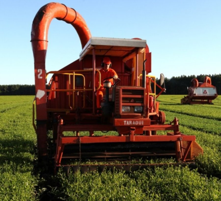 FOTO INTERNET ECONOMIAS REGIONALES. Estiman un próspero 2021.
